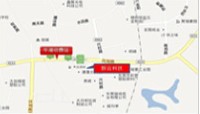 多功能自動物料打包機